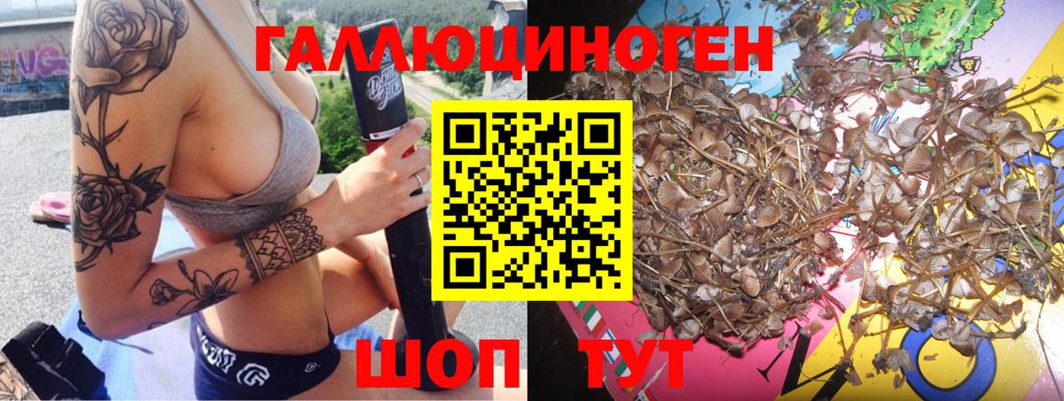 где купить   Вход с VPN  Сегежа  Галлюциногенные грибы Psilocybine cubensis  Псилоцибиновые грибы мицелий 