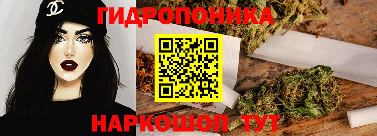 Канабис OG Kush  Вход с VPN  Бошки марихуана сатива  Сегежа  Марихуана Amnesia 